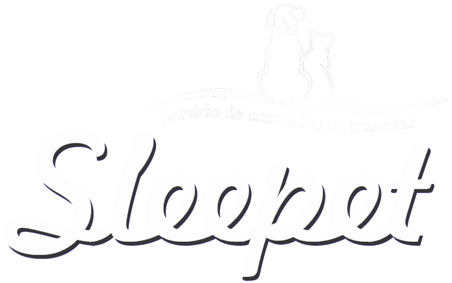 SLEEPET!